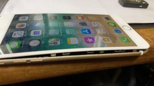 ハマグリPhone